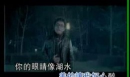 一级毛片视频在线观看56.com,一级毛片视频在线观看背后的真相