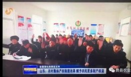 费县新闻爆料网官网,最新动态，聚焦费县热点事件