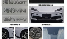 爆料比亚迪新车视频,颠覆传统，引领未来智能出行