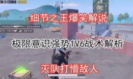 和平精英最新爆料讲解,全新内容与玩法大揭秘
