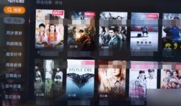 在线观看网络电视