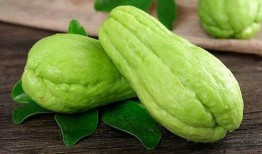 xhs吃瓜免费吗,xhs吃瓜，免费还是付费？带你一探究竟