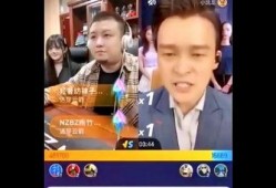 李洋洋爆料视频大全最新,揭秘娱乐圈不为人知的一面