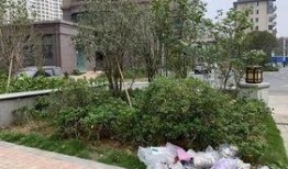 银河湾小区最新爆料金沙,揭秘神秘豪宅背后的故事
