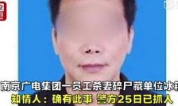 南京广电杀妻爆料视频,真相揭露背后的家庭悲剧