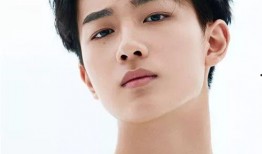 央视爆料李宏毅视频,揭秘背后惊人内幕