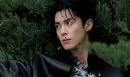 娱乐大爆料 王鹤棣,娱乐大爆料中的璀璨星辉