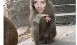 猴子抖音爆料视频大全下载,猴子爆料视频大全下载攻略