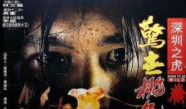 深圳之虎电影在线观看,揭秘传奇企业家背后的风云岁月