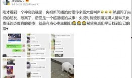 易经网友爆料新闻视频大全,网友爆料新闻视频大盘点