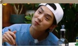 吃瓜老衲娱乐圈博主小说