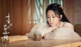 杨紫小说爆料视频合集下载