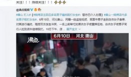 河北学校爆料事件视频曝光,真相揭开，引发社会关注