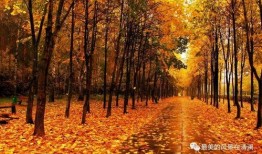 秋天妈妈最新的爆料文案