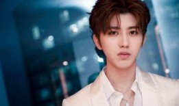 辉叔爆料蔡徐坤视频大全,蔡徐坤视频大全背后的精彩瞬间