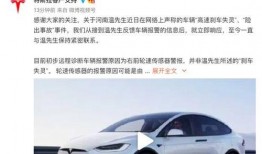 河南特斯拉最新爆料,揭秘神秘生产线与未来布局