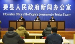 费县新闻爆料网官网,最新动态，聚焦费县热点事件