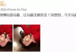 瑞泉岩茶爆料事件视频,揭秘茶叶市场背后的真相