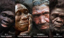 娱乐吃瓜酱广东非人类