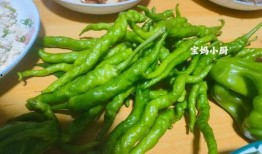东北熏酱吃瓜视频大全免费观看,免费观看熏酱吃瓜视频大全