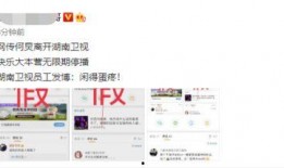 湖南卫视辞职人爆料视频,揭秘幕后的真实内幕