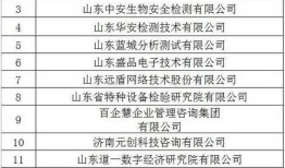 山东闪电新闻爆料电话,揭露社会热点，倾听民声心声