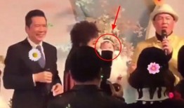 向太爆料双喜临门视频在线观看,双喜临门视频曝光，精彩瞬间不容错过