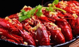 《龙虾》在线观看