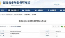 武汉举报新闻爆料网站,揭开城市治理的“隐形”问题