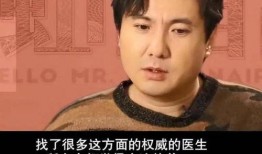 沈腾媳妇爆料视频