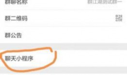 独家最新爆料小程序小说,小程序小说背后的秘密世界