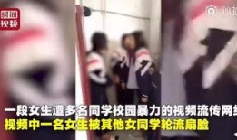 爆料师姐打架视频大全集,揭秘校园打架风云