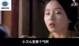 偷情记在线观看,一场禁忌爱情的秘密之旅