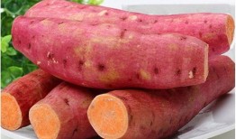 重庆烤红薯爆料案件最新,揭秘背后惊人真相