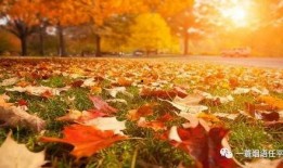 秋天妈妈最新的爆料文案