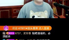 平湖最新爆料事件视频播放,视频揭秘事件真相，引发网友热议