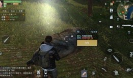 黎明觉醒最新武器爆料图,全新武器震撼来袭，揭秘神秘爆料图