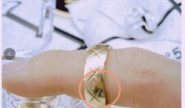 圈内人爆料王一博女友,神秘美女引热议