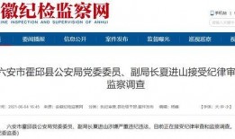 新闻报料爆料流程视频讲解,揭秘视频讲解全解析