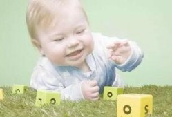 宝宝镜子爆料视频下载,揭秘娱乐圈幕后真相