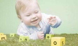 宝宝镜子爆料视频下载,揭秘娱乐圈幕后真相