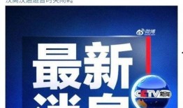 武汉日签最新爆料新闻,揭秘神秘事件背后的真相