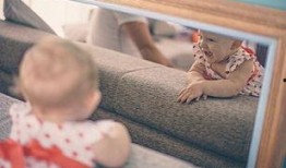 宝宝镜子爆料视频下载,揭秘娱乐圈幕后真相