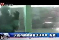 真实小视频在线观看,瞬间捕捉生活百态