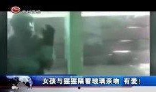 真实小视频在线观看,瞬间捕捉生活百态