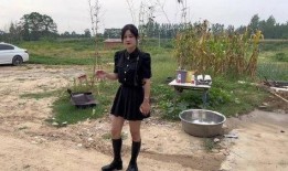 豫东兵嫂爆料丹丹视频,揭秘背后惊人内幕