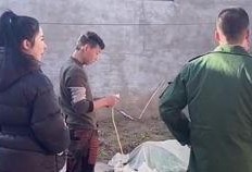 豫东兵嫂爆料丹丹视频,揭秘背后惊人内幕