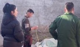 豫东兵嫂爆料丹丹视频,揭秘背后惊人内幕