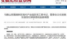 新闻报料爆料流程视频讲解,揭秘视频讲解全解析