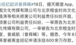 律师爆料的视频全集,视频全集深度剖析案件内幕